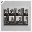 1-31_Eadweard-Muybridge_canvas