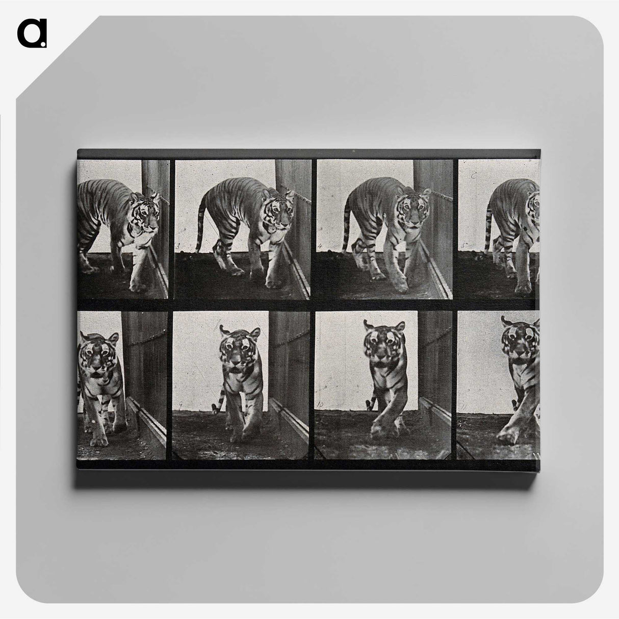 1-31_Eadweard-Muybridge_canvas