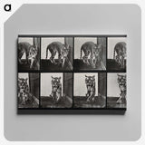 1-31_Eadweard-Muybridge_canvas