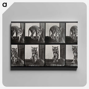 1-31_Eadweard-Muybridge_canvas
