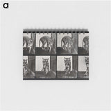 1-31_Eadweard-Muybridge_memo