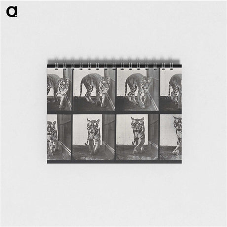 1-31_Eadweard-Muybridge_memo