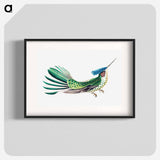 Colorful vintage hummingbird illustration - エルンスト ヘッケル Poster.