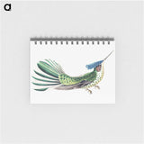 1-31_Ernst-Haeckel_memo