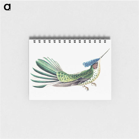 1-31_Ernst-Haeckel_memo