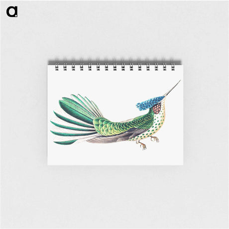 アートメモ帳-Colorful vintage hummingbird illustration - エルンスト ヘッケル Memo.