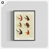 1-31_Favorite-Flies-and-Their-History_blk-crop