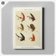 1-31_Favorite-Flies-and-Their-History_canvas