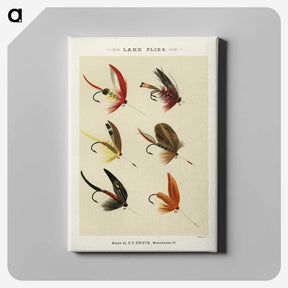 1-31_Favorite-Flies-and-Their-History_canvas