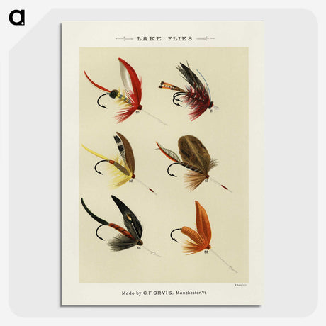 1-31_Favorite-Flies-and-Their-History_picture-crop