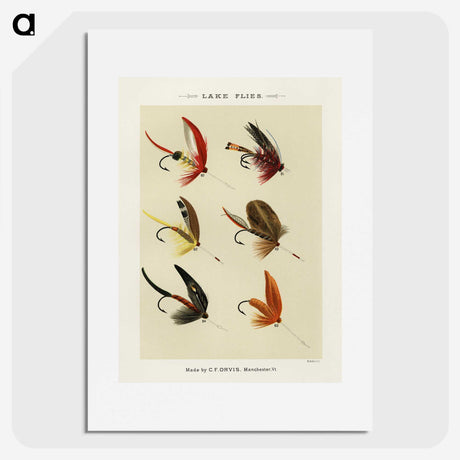 1-31_Favorite-Flies-and-Their-History_picture