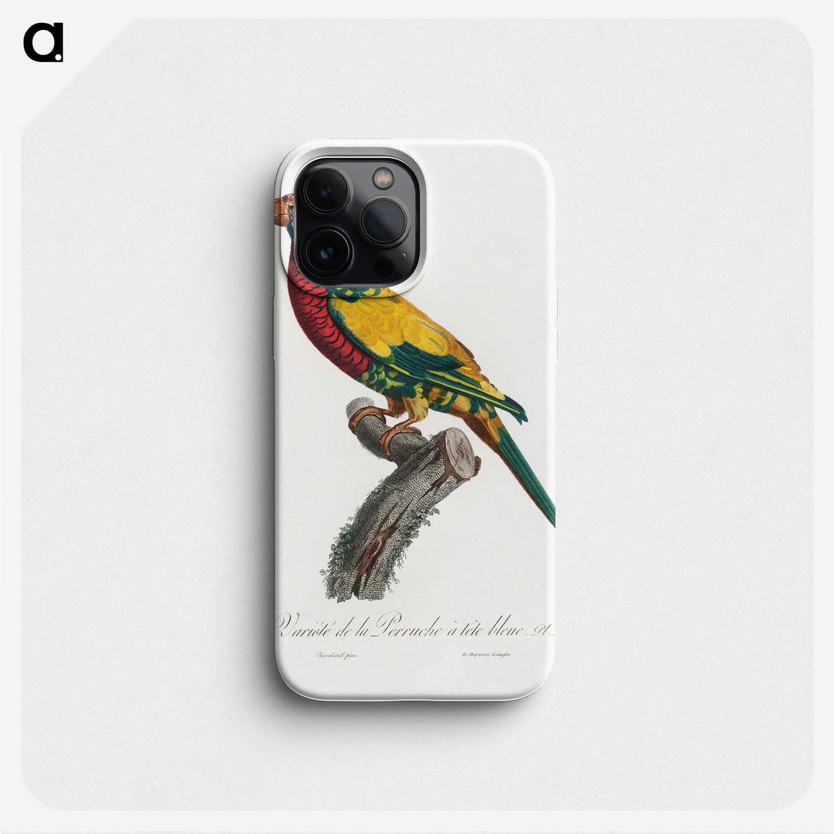 1-31_Francois-Levaillant_phone