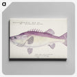 1-31_Frank-Edward-Clarke_canvas