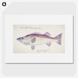 1-31_Frank-Edward-Clarke_picture