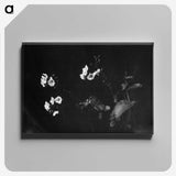 1-31_Frederick-Charles-Brockett_canvas