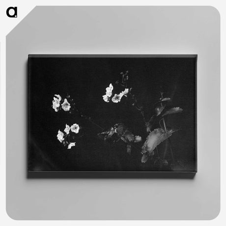1-31_Frederick-Charles-Brockett_canvas