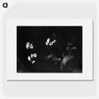 1-31_Frederick-Charles-Brockett_picture