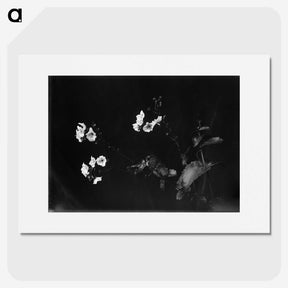 1-31_Frederick-Charles-Brockett_picture
