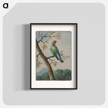 Bird Study
 - ジョージ エドワーズ Poster.