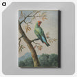 1-31_George-Edwards_canvas
