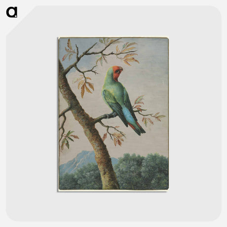 アートポストカード-Bird Study
 - ジョージ エドワーズ Postcard.