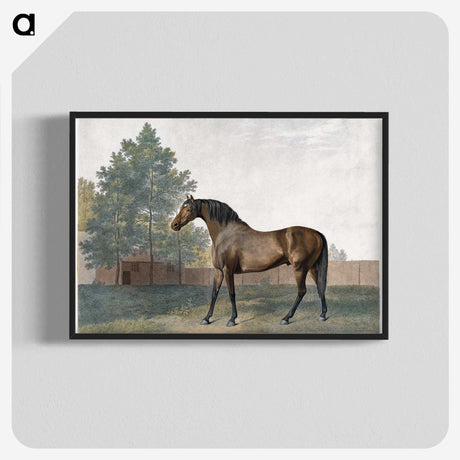 1-31_George-Stubbs_blk-crop