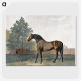1-31_George-Stubbs_picture-crop