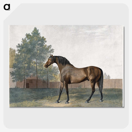 1-31_George-Stubbs_picture-crop