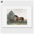 1-31_George-Stubbs_picture