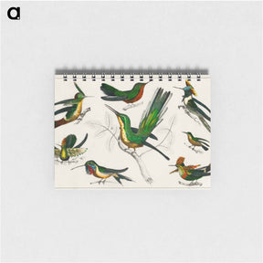 アートメモ帳-Birds from Goldsmith's Animated Nature
 - ゴールドスミスの生き生きとした自然 Memo.