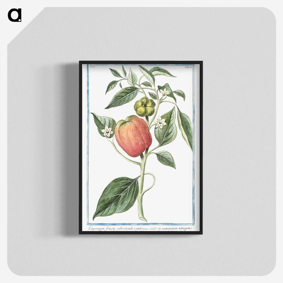 1-31_Hortus-Romanus-Botanical-Plates_blk-crop
