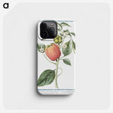 1-31_Hortus-Romanus-Botanical-Plates_phone