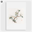 1-31_Hu-Zhengyan_picture