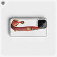 1-31_Ichtyologie-ou-Histoire-naturelle_phone