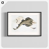 1-31_Indian-Zoology_blk