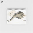 1-31_Indian-Zoology_memo
