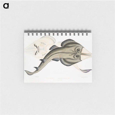 1-31_Indian-Zoology_memo