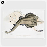 1-31_Indian-Zoology_picture-crop