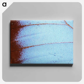 1-31_Insects-Unlocked-Project_canvas