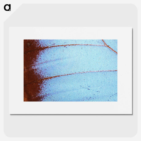 1-31_Insects-Unlocked-Project_picture