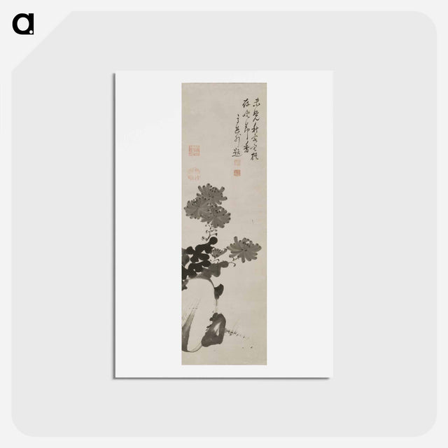 アートポストカード-Chrysanthemums amid Rocks
 - 伊藤若冲 Postcard.