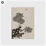 アートポストカード-Chrysanthemums amid Rocks
 - 伊藤若冲 Postcard.