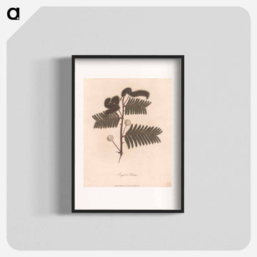 Ergett el Krome
 - ジェームス ヒース Poster.
