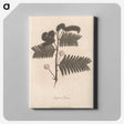 1-31_James-Heath_canvas