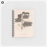 1-31_James-Heath_memo