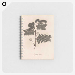 1-31_James-Heath_memo