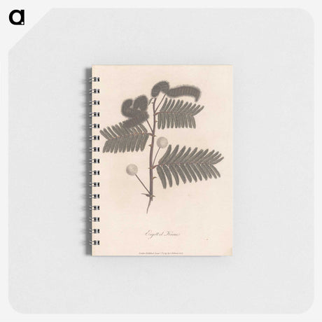 1-31_James-Heath_memo