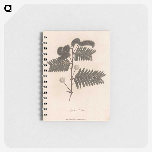 1-31_James-Heath_memo