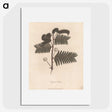 1-31_James-Heath_picture