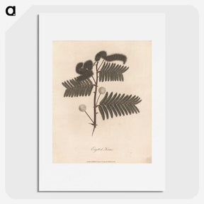 1-31_James-Heath_picture